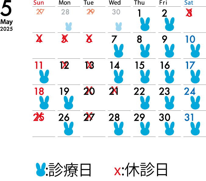 2025年5月