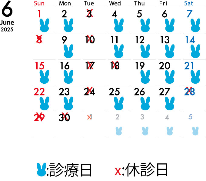 2025年6月