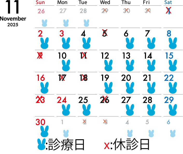 2025年11月