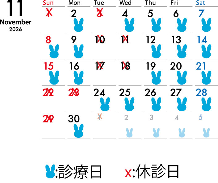 2026年11月