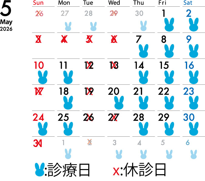 2026年5月